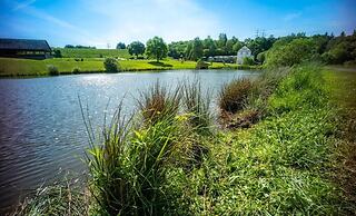 Domäne am See