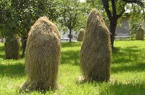 Ferienhaus Stoanerhof