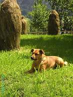 Ferienhaus Stoanerhof