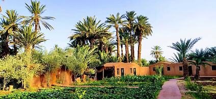 Bivouac Lot Of Stars