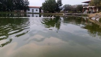 Cabañas Los Pocitos