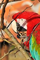 Pousada Fazenda Santa Fé