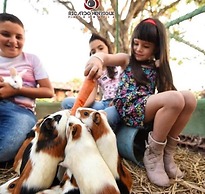 Pousada Fazenda Santa Fé