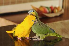 Pousada Fazenda Santa Fé