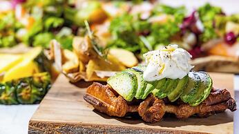 The Millennials Fukuoka