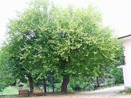 Il Ruscello di Ceraso