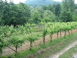 Il Ruscello di Ceraso