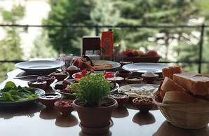 Feel Cappadocia Stone House