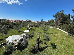 Olive Garden Studios & Apts