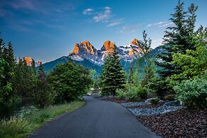 A Bear and Bison Inn