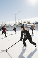 A Bear and Bison Inn