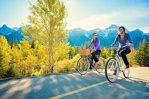 A Bear and Bison Inn