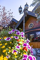 A Bear and Bison Inn