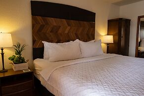 A Bear and Bison Inn