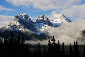 A Bear and Bison Inn