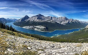 A Bear and Bison Inn