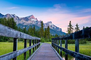 A Bear and Bison Inn