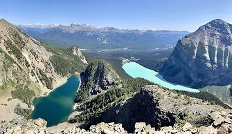 A Bear and Bison Inn