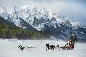 A Bear and Bison Inn