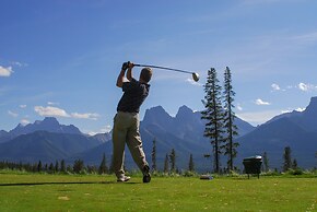 A Bear and Bison Inn