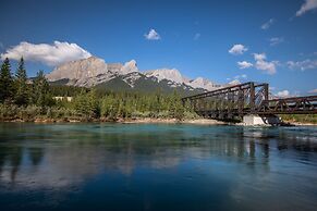 A Bear and Bison Inn
