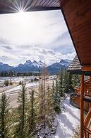 A Bear and Bison Inn