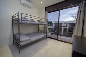 Mountain View Foresta A3