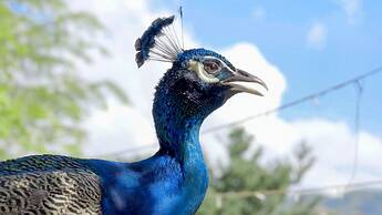 Wyndham Grand Plaza Royale Kaicheng Anji