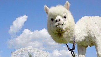 Wyndham Grand Plaza Royale Kaicheng Anji