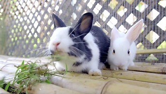 Wyndham Grand Plaza Royale Kaicheng Anji