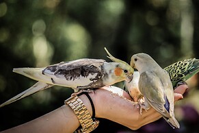 Malagos Garden Resort