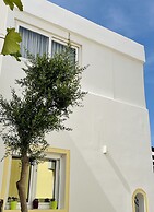 Arlene Suites
