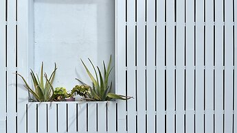 Casa dos Lóios by Shiadu