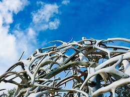 Wild Caribou Wilderness Cabin