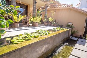 Kouriisland hotel cava