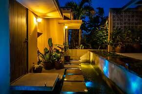 Kouriisland hotel cava