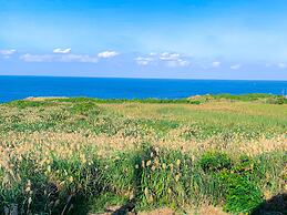 Kouriisland hotel cava