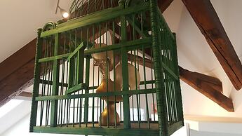 Studios with Mezzanine Rua da Moeda