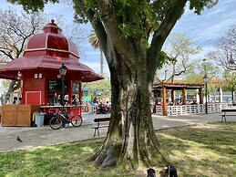 Studios with Mezzanine Rua da Moeda