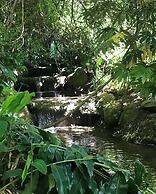 Studios with Mezzanine Rua da Moeda