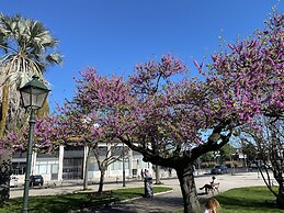 Studios with Mezzanine Rua da Moeda