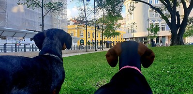 Studios with Mezzanine Rua da Moeda