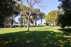 Spacious Chic Residence