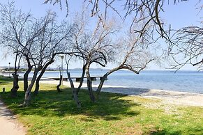 Spacious Chic Residence