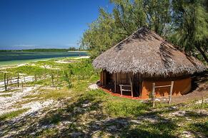 Varatraza Wind Riders