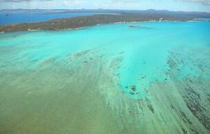 Varatraza Wind Riders