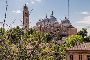 Grey Pearl in Prato della Valle