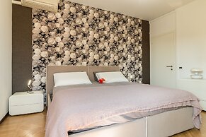 Grey Pearl in Prato della Valle