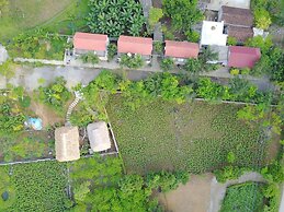 Cuc Phuong Bungalow