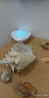 White Coral Club - Hostel